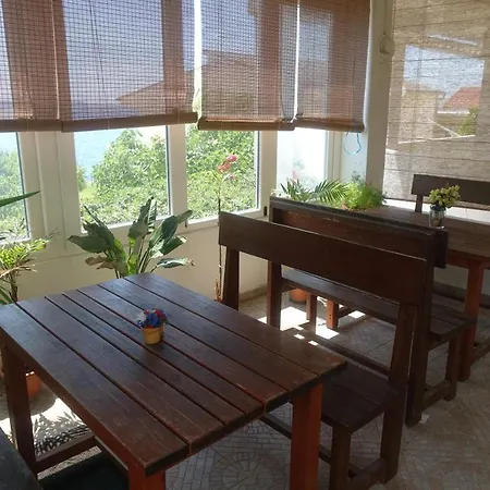 Apartman Galeb Rtina