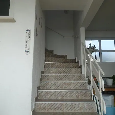Galeb *
