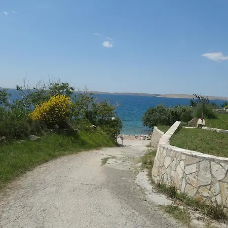 Galeb Ртина
